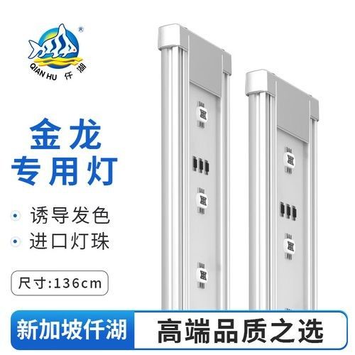 如何選擇適合龍魚的專用燈？（選擇適合龍魚的專用燈具）