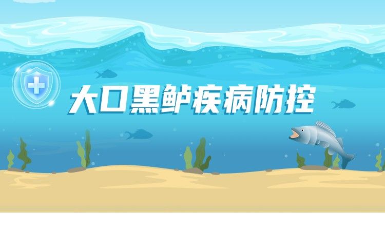 雷龍魚細菌感染多久會死？（雷龍魚細菌感染的致死時間取決于多種因素）