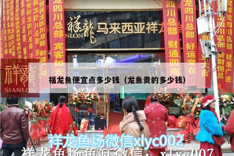 福龍魚便宜點(diǎn)多少錢（龍魚貴的多少錢）（福龍魚便宜點(diǎn)多少錢、福龍魚便宜點(diǎn)多少錢、福龍魚便宜點(diǎn)多少錢）
