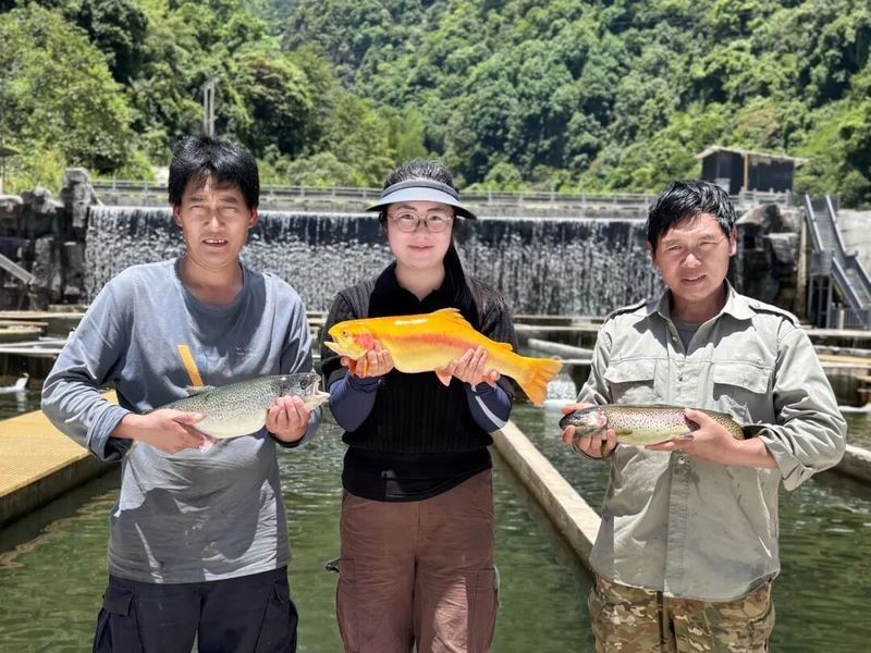 除了這些，還有哪些龍魚養殖基地（北京海淀區金源財富花卉市場有哪些知名商家有哪些）