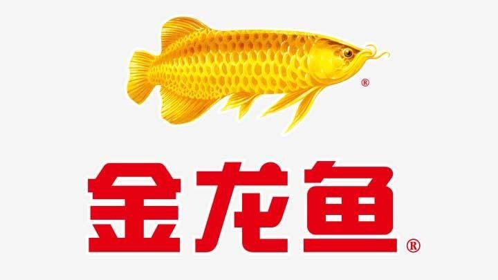 金龍魚還有哪些經典廣告語（金龍魚的經典廣告語）