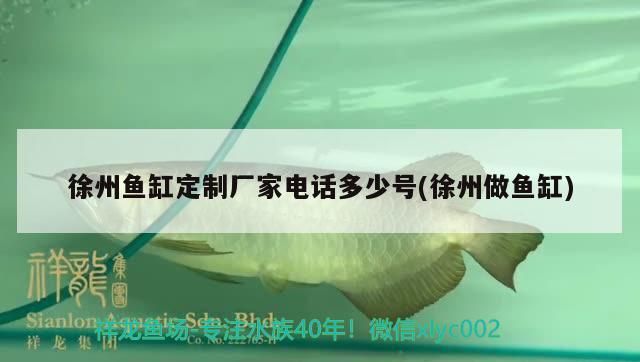 <strong><mark>徐州</mark></strong>魚缸定制廠家電話多少號(<strong><mark>徐州</mark></strong>做魚缸)