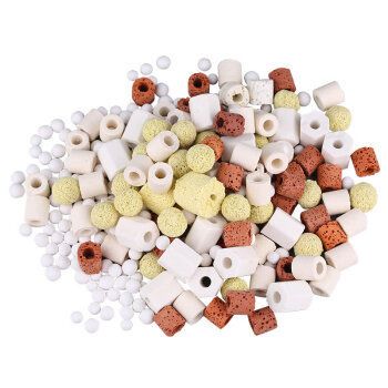 馬來西亞和新加坡金龍魚哪個好養（馬來西亞和新加坡金龍魚哪個好養活）