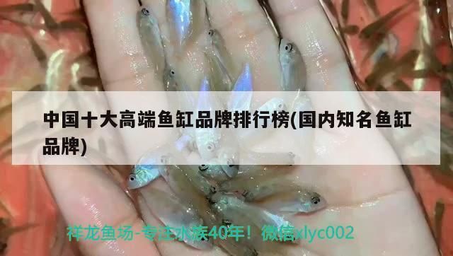 中國十大高端魚缸品牌排行榜(國內知名魚缸品牌)