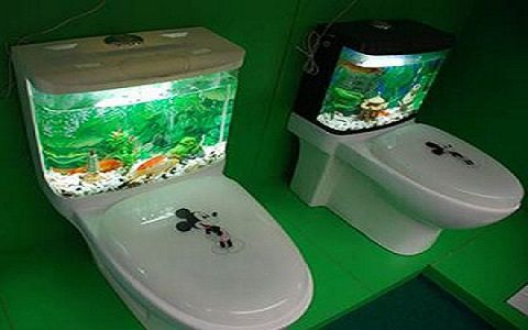 龍魚晚上趴缸怎么回事視頻（龍魚晚上趴缸怎么回事視頻講解）
