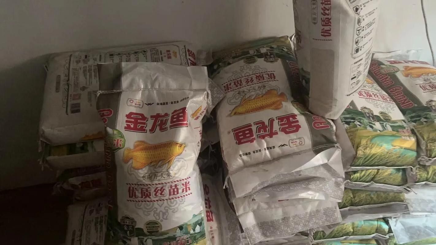 金龍魚特選絲苗米有哪些口味 龍魚百科 第4張 金龍魚特選絲苗米有哪些口味 金龍魚特選絲苗米有哪些口味 龍魚百科 第4張
