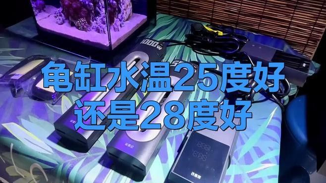 龍龜魚缸需要多大的加熱器（魚缸加熱棒哪款好用又實惠）
