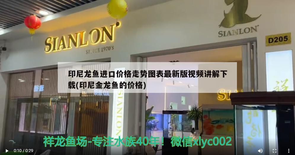 印尼龍魚進口價格走勢圖表最新版視頻講解下載(印尼金龍魚的價格)
