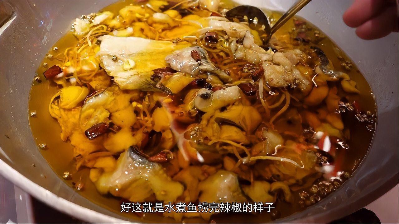 龍人居的水煮魚有哪些口味 龍人居的水煮魚有哪些口味 龍魚百科 第9張