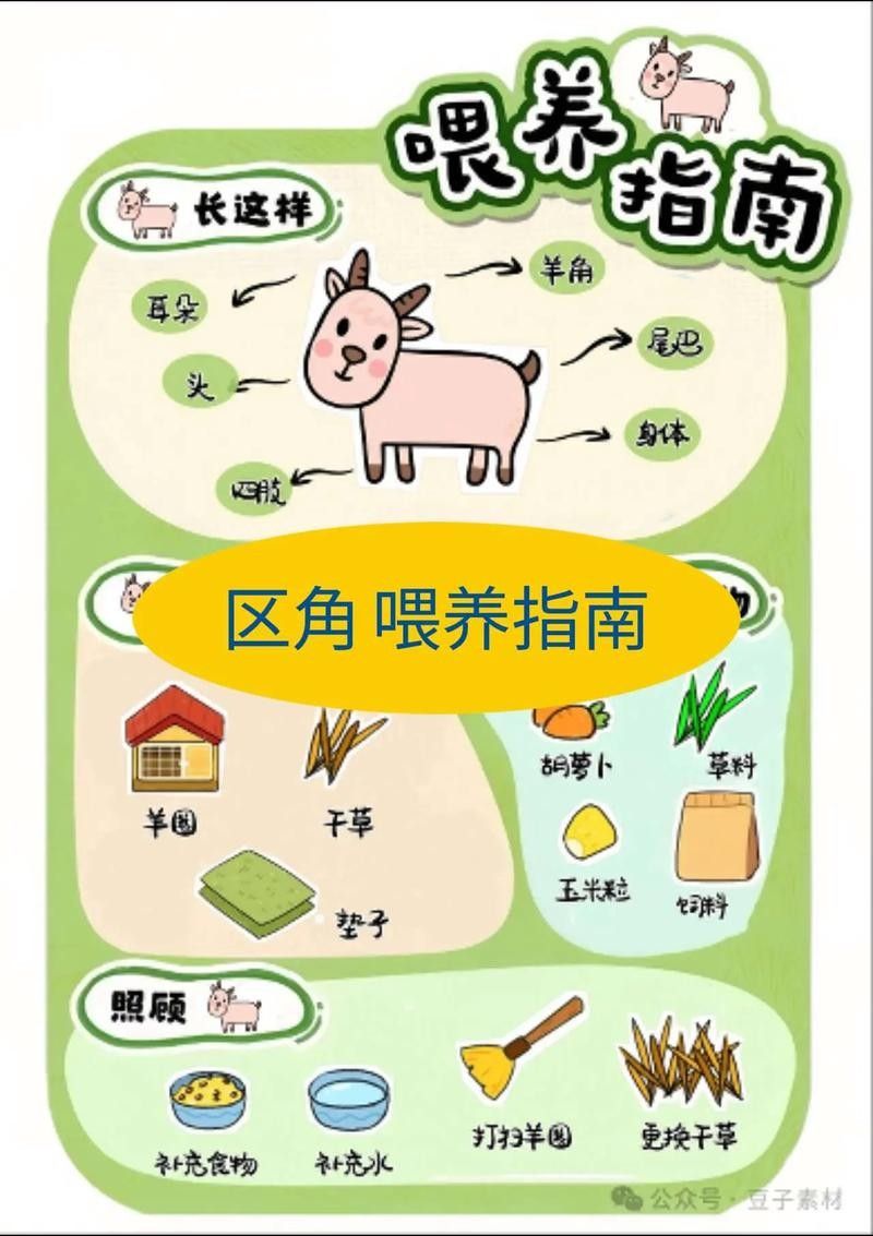 如何分區(qū)投喂以避免搶食