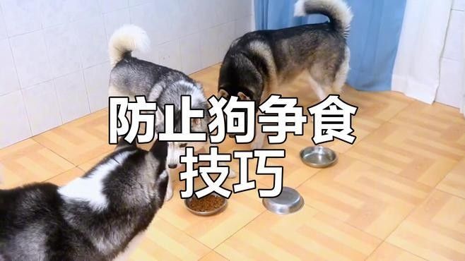 如何分區(qū)投喂以避免搶食