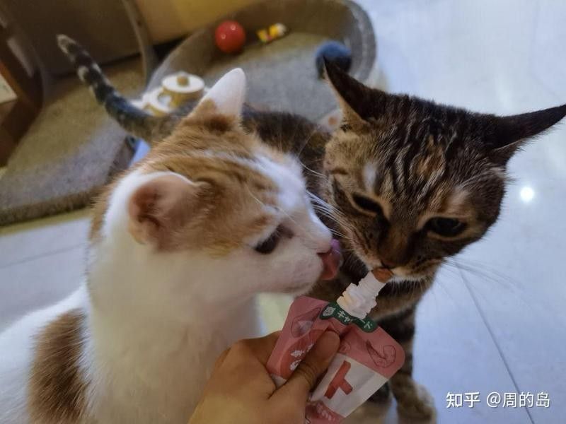 如何分區(qū)投喂以避免搶食