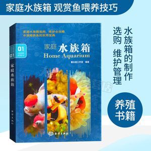六角龍魚不吃東西怎么辦呀（六角龍魚不吃東西怎么辦？） 六角龍魚不吃東西怎么辦呀（六角龍魚不吃東西怎么辦？） 觀賞魚百科 第1張