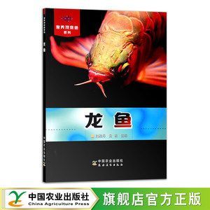 六角龍魚不吃東西怎么辦呀（六角龍魚不吃東西怎么辦？） 六角龍魚不吃東西怎么辦呀（六角龍魚不吃東西怎么辦？） 觀賞魚百科 第3張