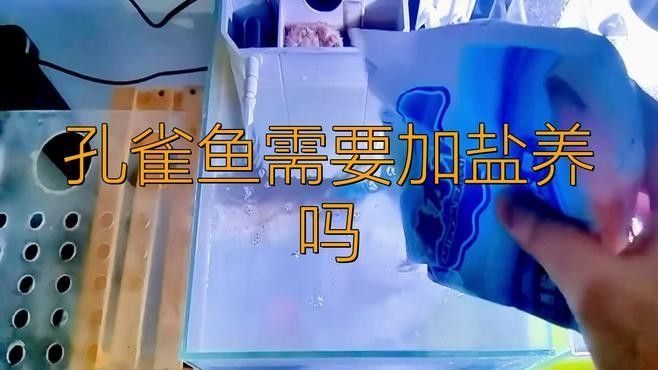 孔雀魚混養(yǎng)可以加鹽嗎？