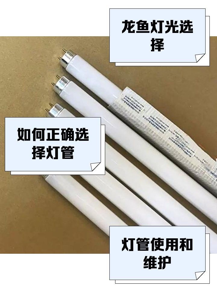 如何更換魚缸燈管？