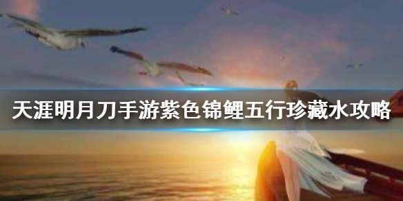 紫色錦鯉奇遇任務有哪些？（《天涯明月刀手游》紫色錦鯉奇遇任務觸發及完成攻略） 紫色錦鯉奇遇任務有哪些？（《天涯明月刀手游》紫色錦鯉奇遇任務觸發及完成攻略） 龍魚百科 第4張