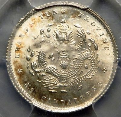 泰國虎魚可以長多大：泰國虎魚的生長潛力 泰國虎魚可以長多大：泰國虎魚的生長潛力 觀賞魚百科 第3張