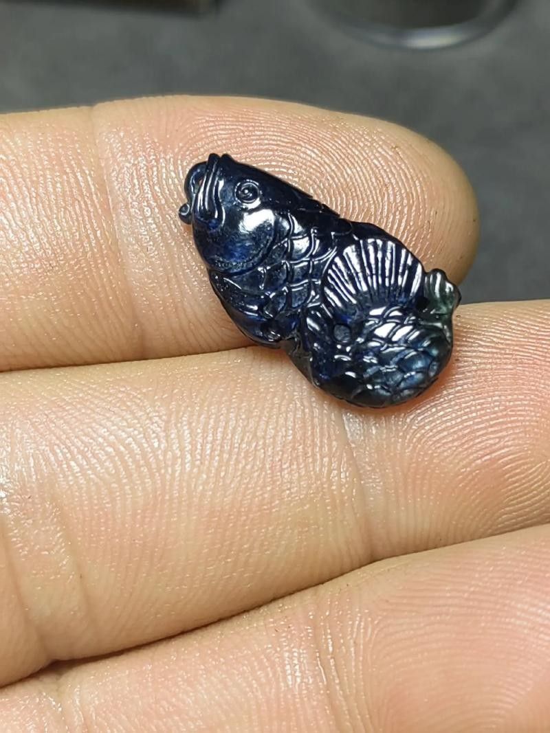 介紹一下藍寶石金龍魚的特點