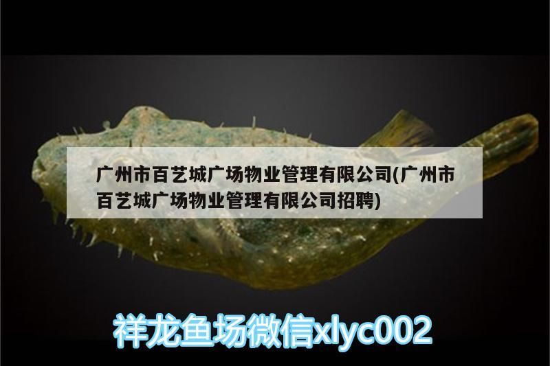 魚缸過濾器選購指南:自制魚缸過濾器魚缸上置過濾器對于養魚愛好者的必備知識 廣州市百藝城廣場物業管理有限公司(廣州市百藝城廣場物業管理有限公司招聘) 觀賞魚百科 廣州市百藝城廣場物業管理有限公司(廣州市百藝城廣場物業管理有限公司招聘) 廣州市百藝城廣場物業管理有限公司(廣州市百藝城廣場物業管理有限公司招聘) 觀賞魚百科