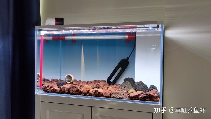 海西蒙古族藏族自治州觀賞魚店（青海觀賞魚批發市場）
