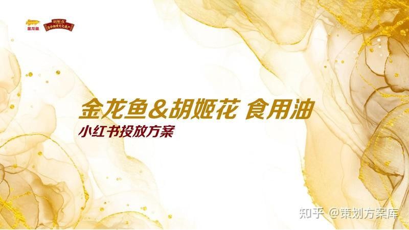 金龍魚“1：1：1”廣告投放了多久？（金龍魚“1:1:1”廣告的創意與市場策略解析）