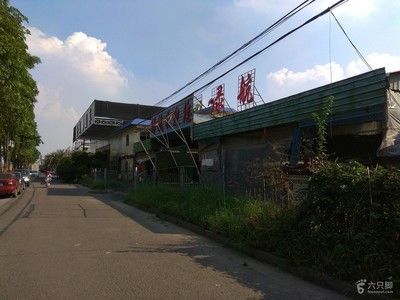 芳村花鳥魚市場搬到哪里去了：廣州芳村花鳥魚蟲市場搬遷