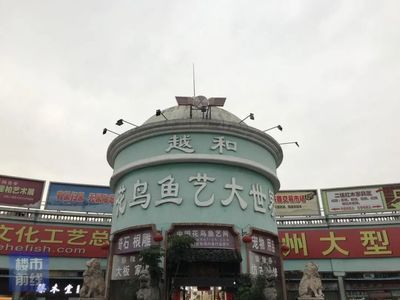 芳村花鳥魚市場搬到哪里去了：廣州芳村花鳥魚蟲市場搬遷