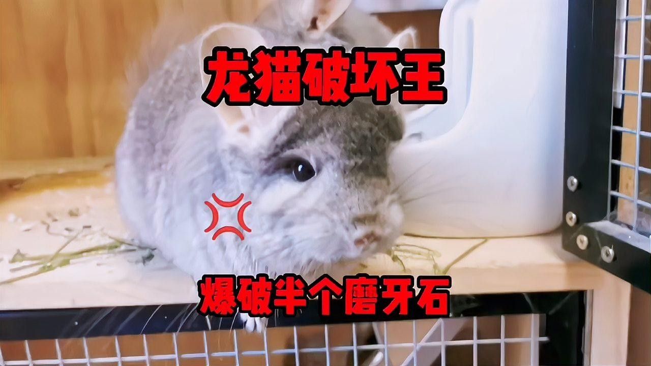 花地灣祥龍魚場營業(yè)時間是幾點：花地灣祥龍魚場營業(yè)時間探秘（了解花地灣祥龍魚場的營業(yè)時間）