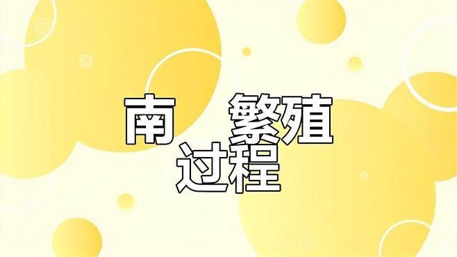 南鱧雷龍魚(yú)繁殖方式是什么