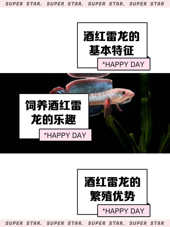 南鱧雷龍魚(yú)繁殖方式是什么