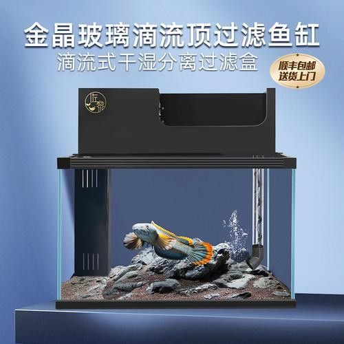 有哪些品牌雷龍魚過濾器推薦？（雷龍魚過濾器品牌推薦及產品分析及產品分析及產品分析）