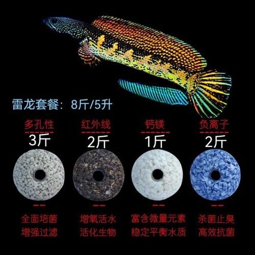 有哪些品牌雷龍魚過濾器推薦？（雷龍魚過濾器品牌推薦及產品分析及產品分析及產品分析）