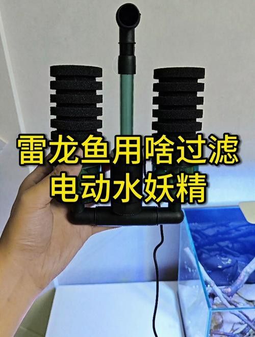 有哪些品牌雷龍魚過濾器推薦？（雷龍魚過濾器品牌推薦及產品分析及產品分析及產品分析）