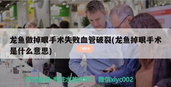 龍魚做掉眼手術失敗血管破裂(龍魚掉眼手術是什么意思)（龍魚做掉眼手術失敗血管破裂的原因）