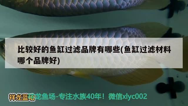 比較好的魚缸過濾品牌有哪些(魚缸過濾材料哪個品牌好)