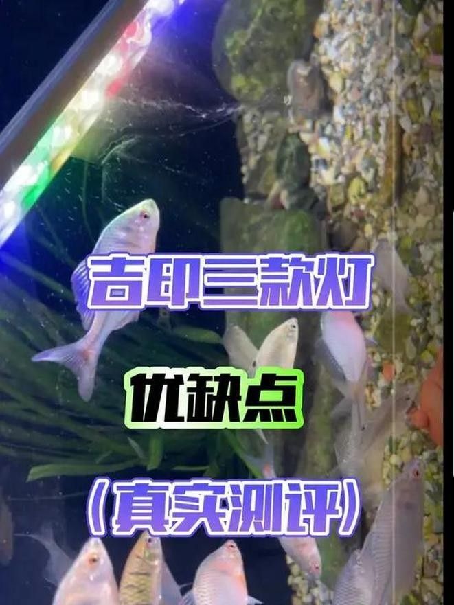如何安裝和調節吉印刀鋒S系列（吉印刀鋒s系列如何安裝和調節）