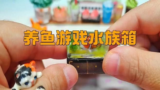 推薦一些專業(yè)的水族類APP（推薦幾款水族類app）