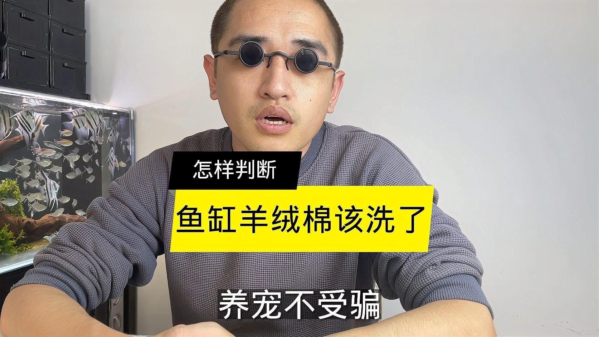 如何判斷濾材是否需要清洗（如何判斷魚缸濾材是否需要清洗？）