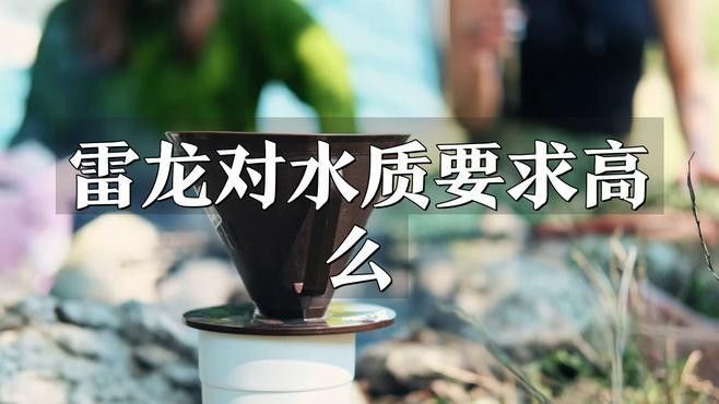 如何檢測雷龍魚缸的水質？（雷龍魚缸水質檢測指南）
