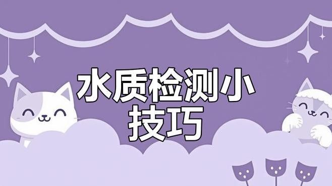 如何檢測雷龍魚缸的水質？（雷龍魚缸水質檢測指南）