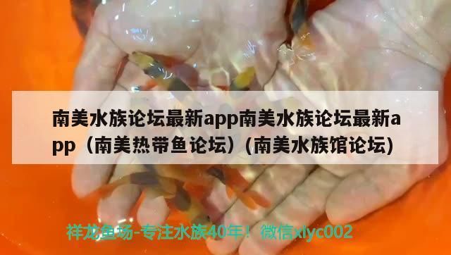 南美水族論壇最新app南美水族論壇最新app（南美熱帶魚論壇）(南美水族館論壇)