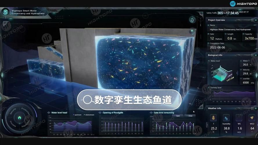 龍魚認主后如何保持互動？（魚認主后，它們會變得更加親近和依賴主人，為了保持與龍魚的互動）