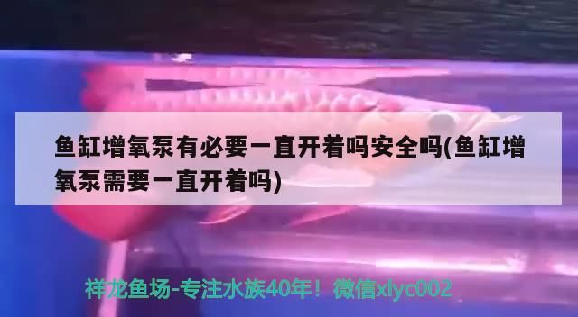 魚缸增氧泵有必要一直開著嗎安全嗎(魚缸增氧泵需要一直開著嗎)（魚缸增氧泵有必要一直開著嗎）