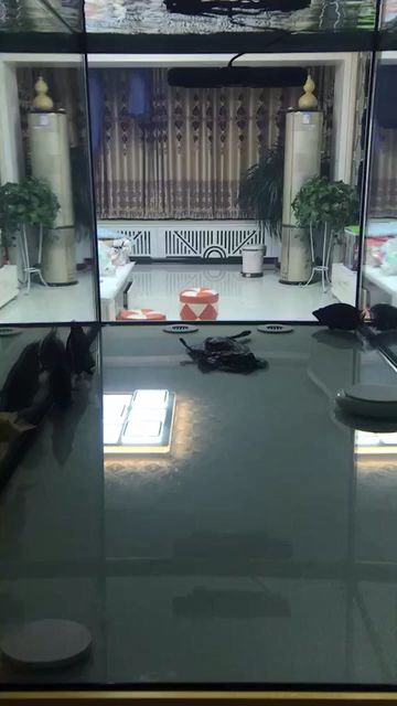 晚上效果（夜晚對人類心理和生理的影響）