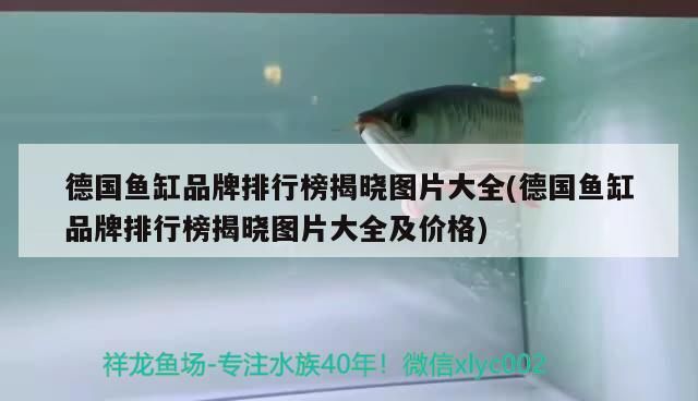 瞎混養(yǎng)別吐槽（“瞎混養(yǎng)”指的是一種缺乏目標、隨意性的生活方式）
