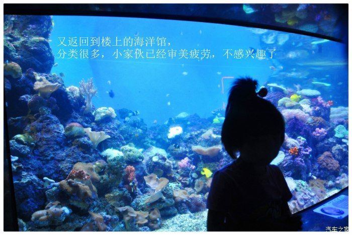 臨汾水族館：臨汾區南水族館