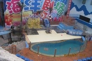 臨汾水族館：臨汾區南水族館