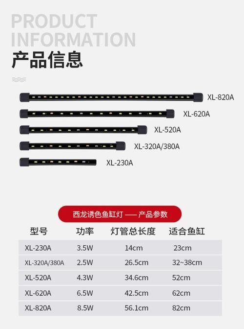 如何判斷龍魚缸燈是否適合（龍魚缸燈多久需要更換一次？）