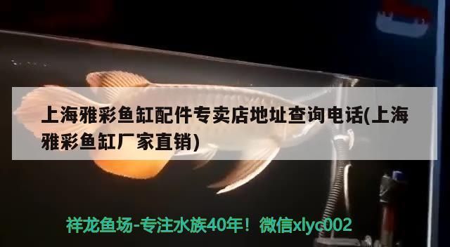 魚缸有哪些牌子質量好耐用(什么牌子魚缸質量最好)（上海雅彩魚缸配件專賣店地址查詢）